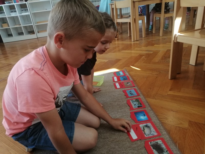 Galerija: Ljeto - slika broj: 48